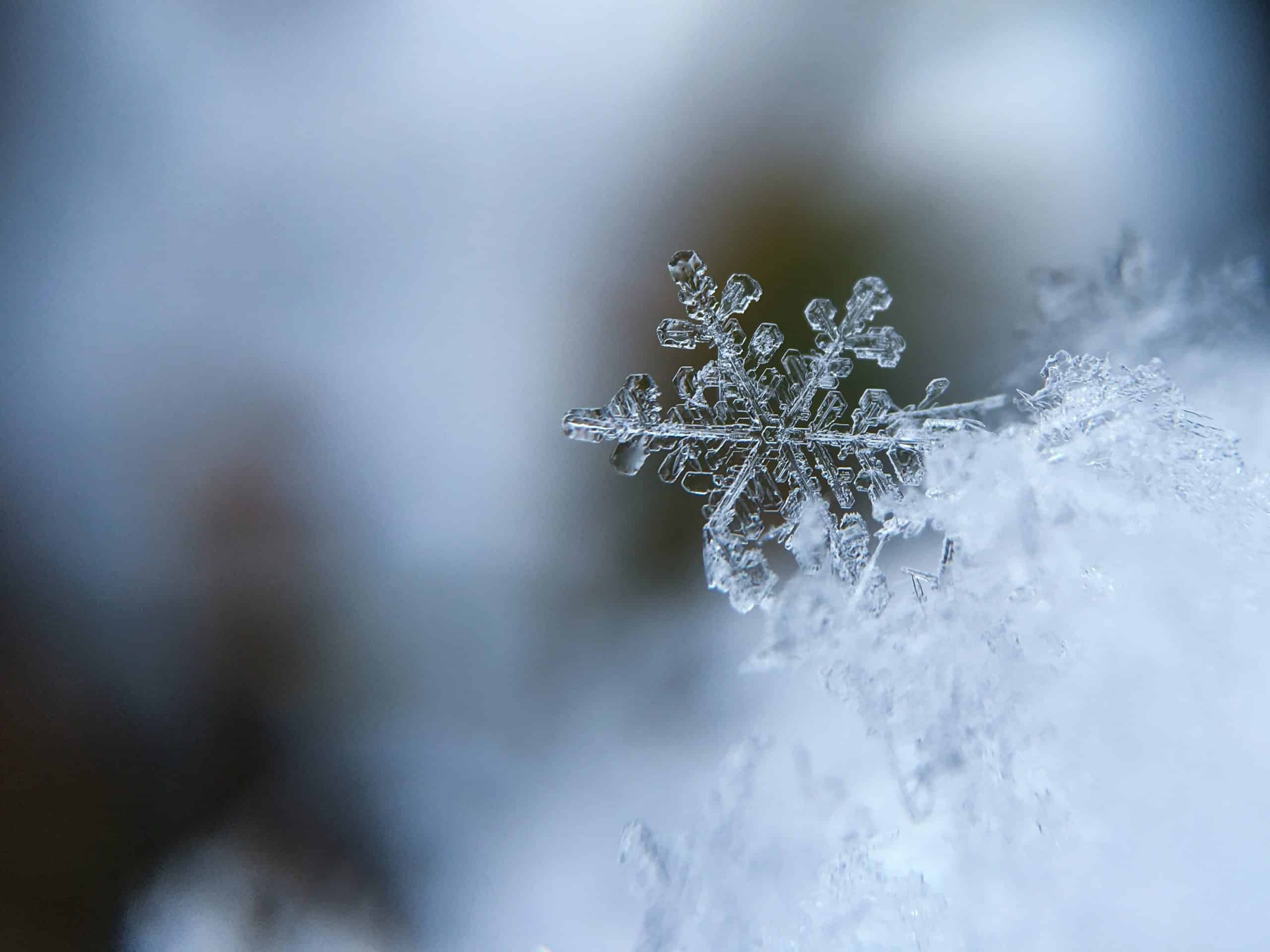 roller en hiver